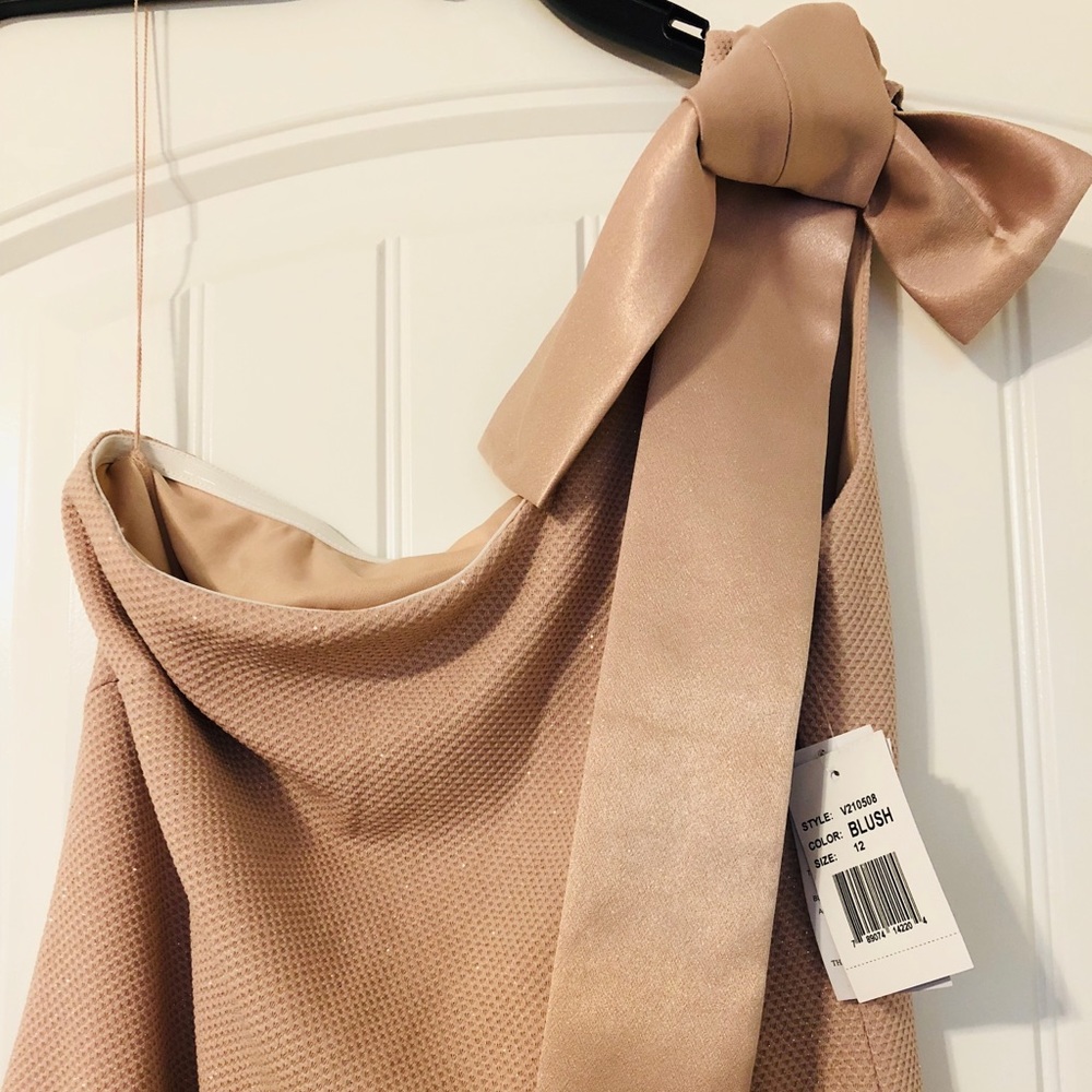 ‼️Last One‼️Ronni Nicole Evenings Blush Dress Sz16 - Picture 7 of 7